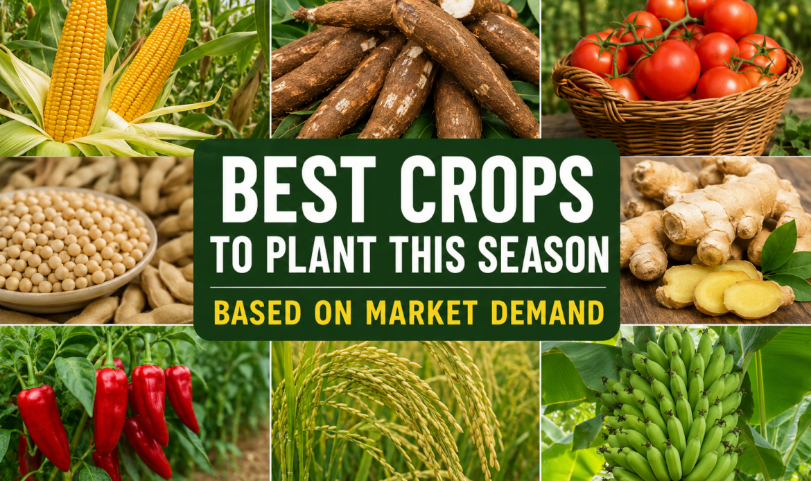 Best Crops to Plant This Season Based on Market Demand